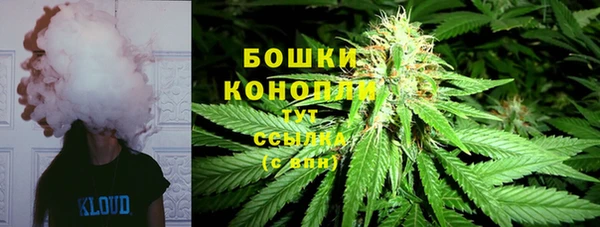 молекула духа Алексеевка
