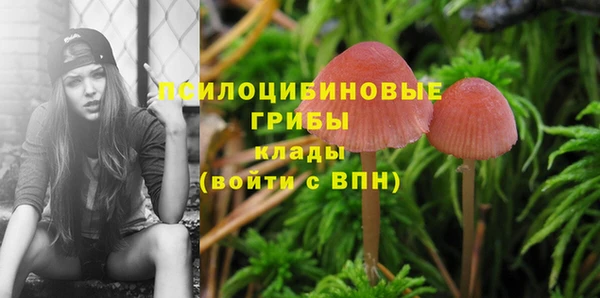 молекула духа Алексеевка