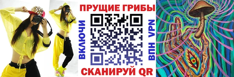 KRAKEN зеркало  Жуковский  Галлюциногенные грибы GOLDEN TEACHER 